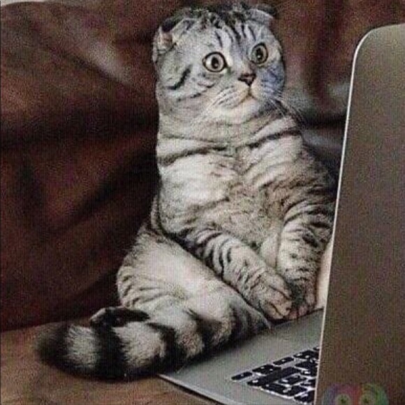 Welcome💕 - Picture 3 of 12